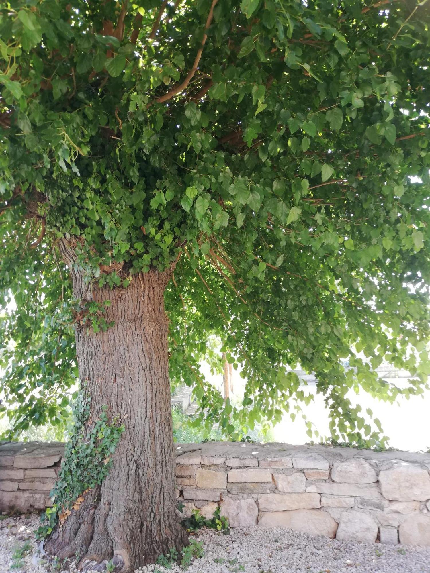 Willa Lory Sveti Lovreč Pazenatički Zewnętrze zdjęcie